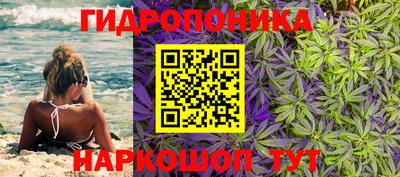 бошки Канаш
