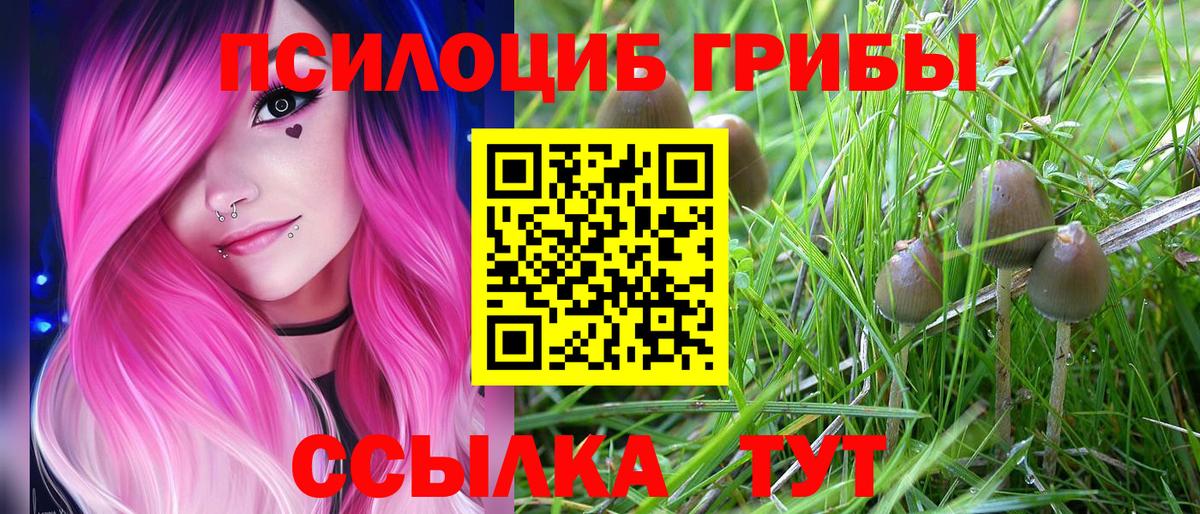 Красноярск  Галлюциногенные грибы прущие грибы  Вход с VPN  Псилоцибиновые грибы GOLDEN TEACHER 